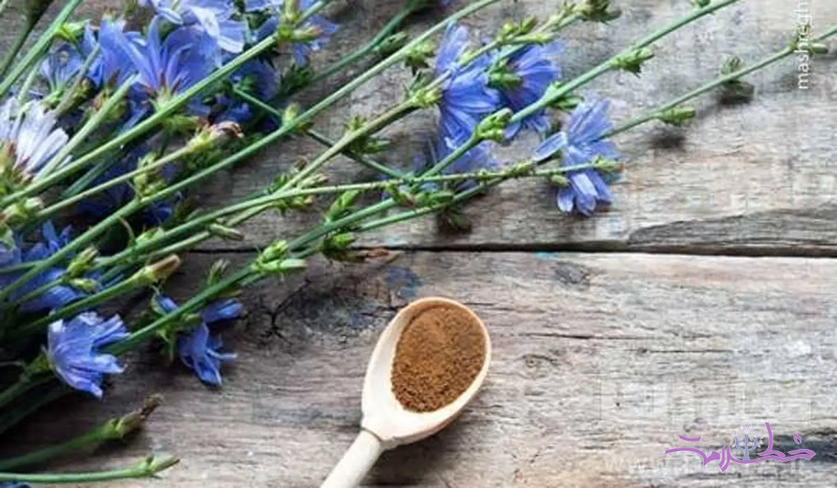 این گیاه فشار خون ، قند خون، کبد و ضعف بینایی را درمان می کند

