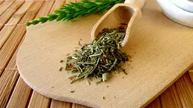 خواص عجیب دم اسب برای پوکی استخوان