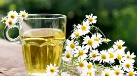 دمنوش کاهش درد برای زنان