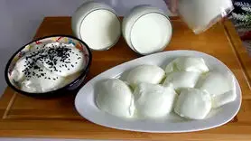 فیلم/ طرز تهیه ماست خانگی با طعم ویژه