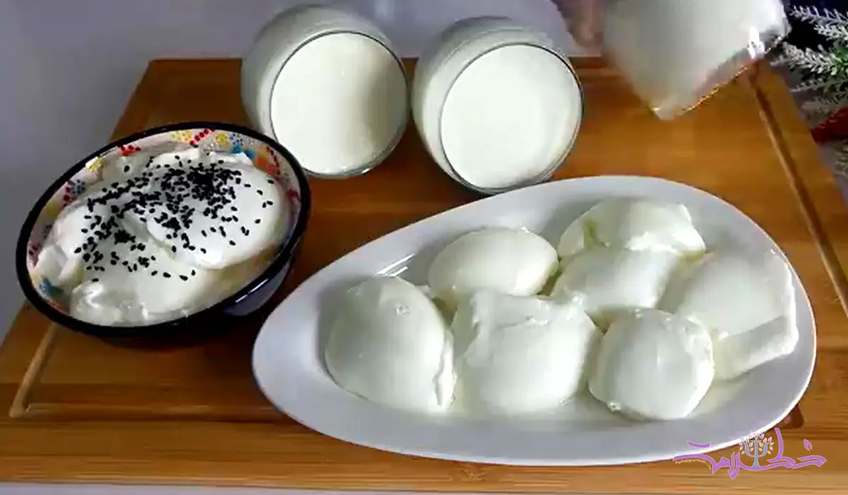 فیلم/ طرز تهیه ماست خانگی با طعم ویژه
