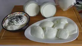 فیلم/ طرز تهیه ماست خانگی با طعم ویژه