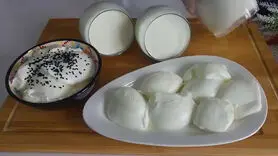 فیلم/ طرز تهیه ماست خانگی با طعم ویژه