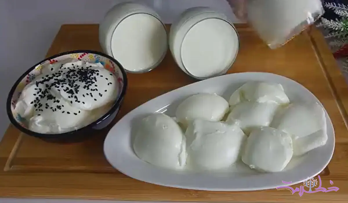 فیلم/ طرز تهیه ماست خانگی با طعم ویژه