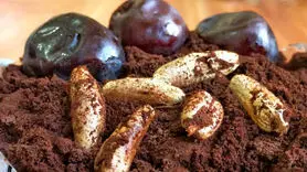 قهوه خرما تنها قهوه بدون کافئین / پودر قهوه خانگی با هسته خرما
