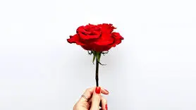 پنج زبان اصلی عشق رایادبگیرید و عاشق شوید!