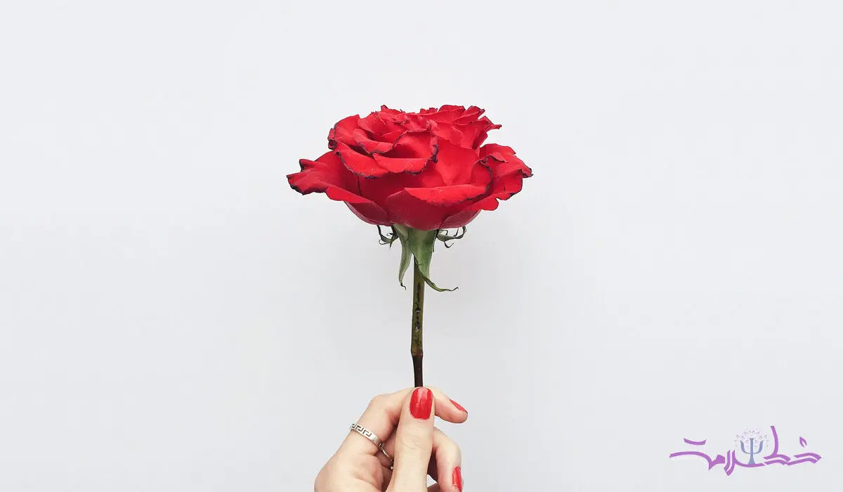 پنج زبان اصلی عشق رایادبگیرید و عاشق شوید!