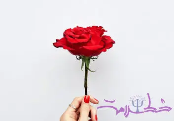 پنج زبان اصلی عشق رایادبگیرید و عاشق شوید!