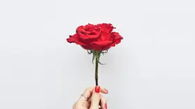 پنج زبان اصلی عشق رایادبگیرید و عاشق شوید!