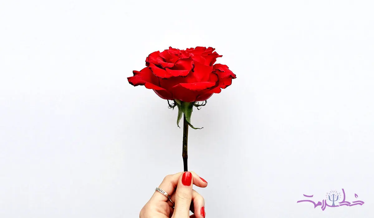 پنج زبان اصلی عشق رایادبگیرید و عاشق شوید!