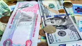 درهم امارات چند؟ / آخرین قیمت درهم امارات امروز چهارشنبه 5 دی ماه 1403