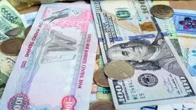 درهم امارات چند؟ / آخرین قیمت درهم امارات امروز سه شنبه 13 آذر 1403