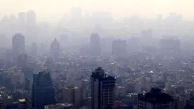 با این دو ادویه به جنگ آلودگی هوا بروید