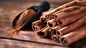 ۱۳ فایده شگفت‌انگیز دارچین برای سلامتی طبق نظر متخصصان تغذیه