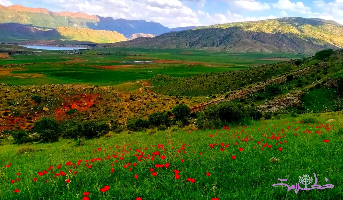 فیلم / اگر ترس های زیادی را تجربه می کنید پلی کنید