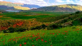 فیلم / اگر ترس های زیادی را تجربه می کنید پلی کنید