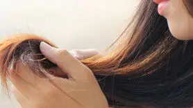 بهترین روغن گیاهی طبیعی برای پرپشت شدن مو