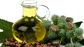 ۳ فایده بی نظیر روغن کرچک