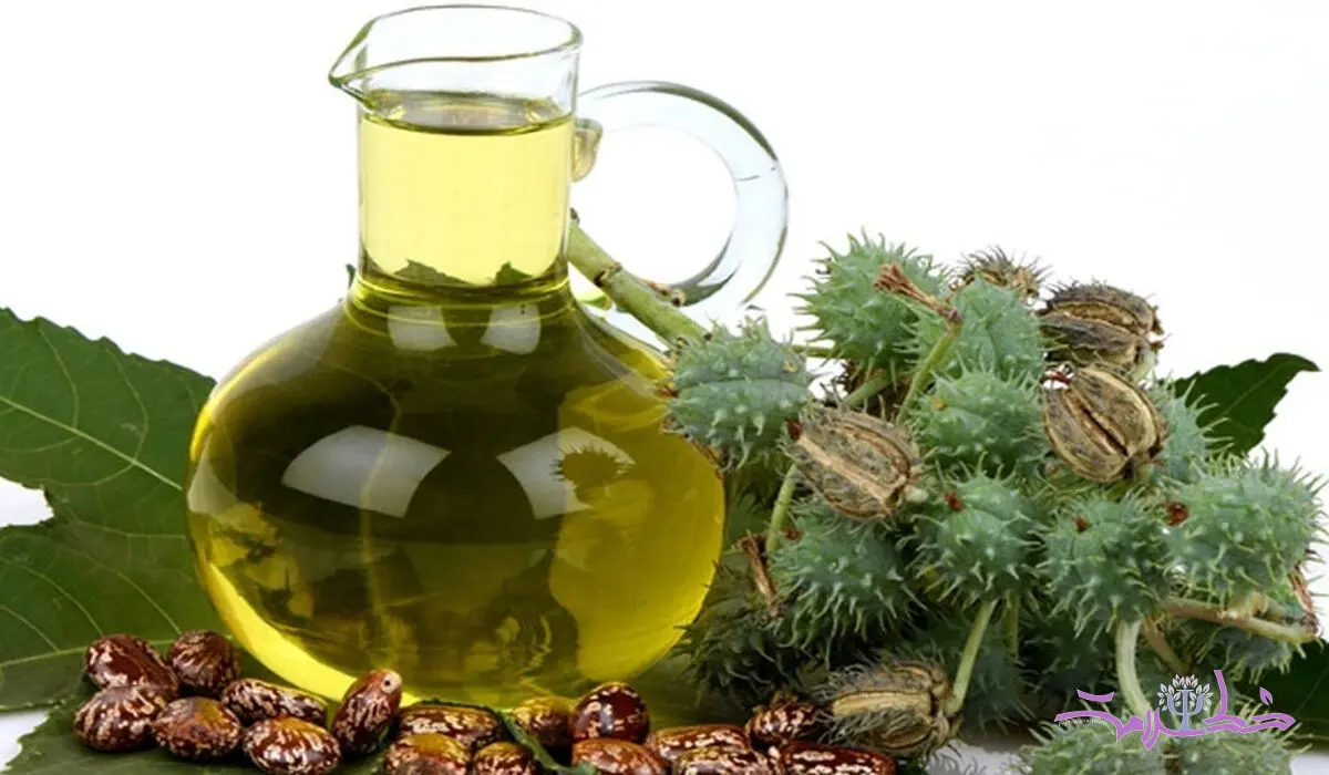 ۳ فایده بی نظیر روغن کرچک