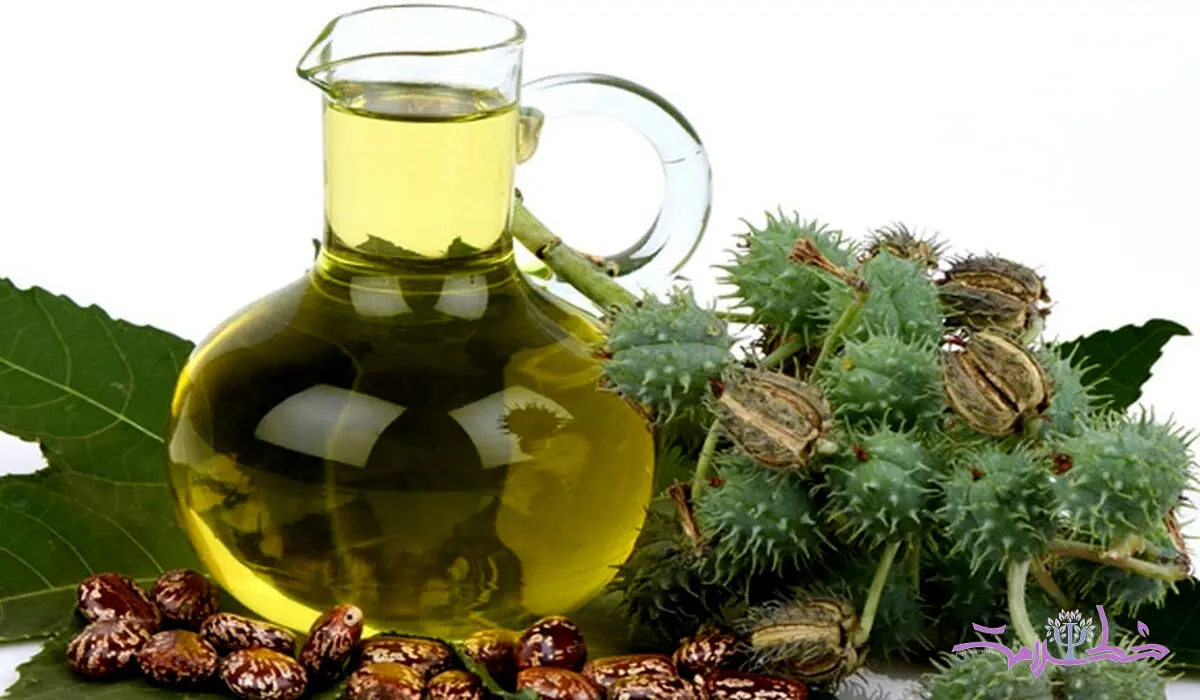 ۳ فایده بی نظیر روغن کرچک