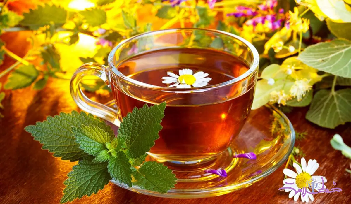 این دمنوش گیاهی سیستم ایمنی را تقویت و درد را کاهش می دهد / طبیعی و ارزان
