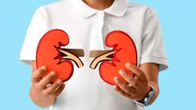 ۱۳ غذای فوق العاده برای تقویت کلیه ها و بهبود عملکرد آن ها