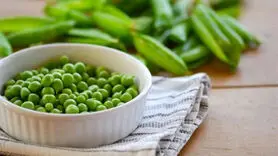 فواید نخود فرنگی برای لاغری 