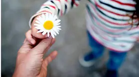 زیباترین فیلم کوتاه را ببینید
