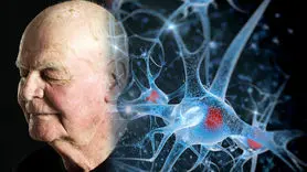 آیا مغز شما زودتر از سن‌تان پیر می‌شود؟ این ژن تصمیم می‌گیرد!