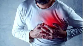 این ماده معدنی روی قلب تاثیر دارد/ یافته ای عجیب