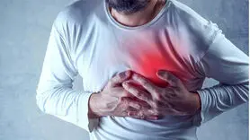 این ماده معدنی روی قلب تاثیر دارد/ یافته ای عجیب