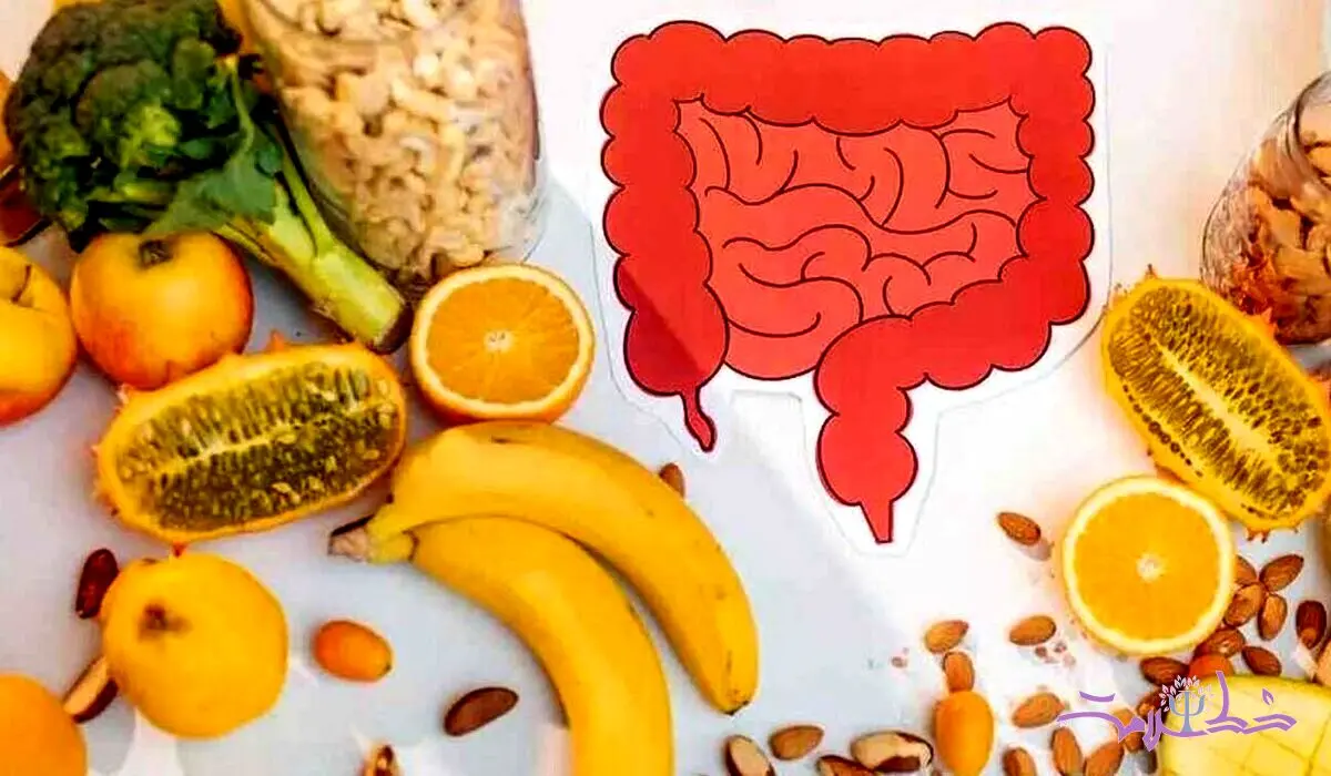 تضمین سلامت روده با این ۹ مواد غذایی