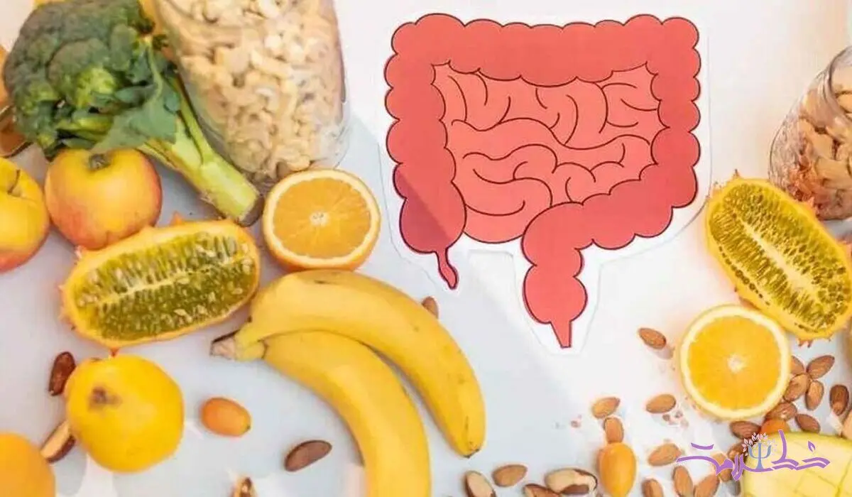 تضمین سلامت روده با این ۹ مواد غذایی