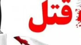 قتل دلخراش شاهدان کوچک؛ راز جنایتی که همه را شوکه کرد!
