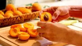 8 فایده اعجاب انگیز زردآلو برای سلامتی + زردآلو خشک بهتر است یا تازه؟
