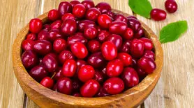 این میوه خوش رنگ با حافظه را تقویت می کند