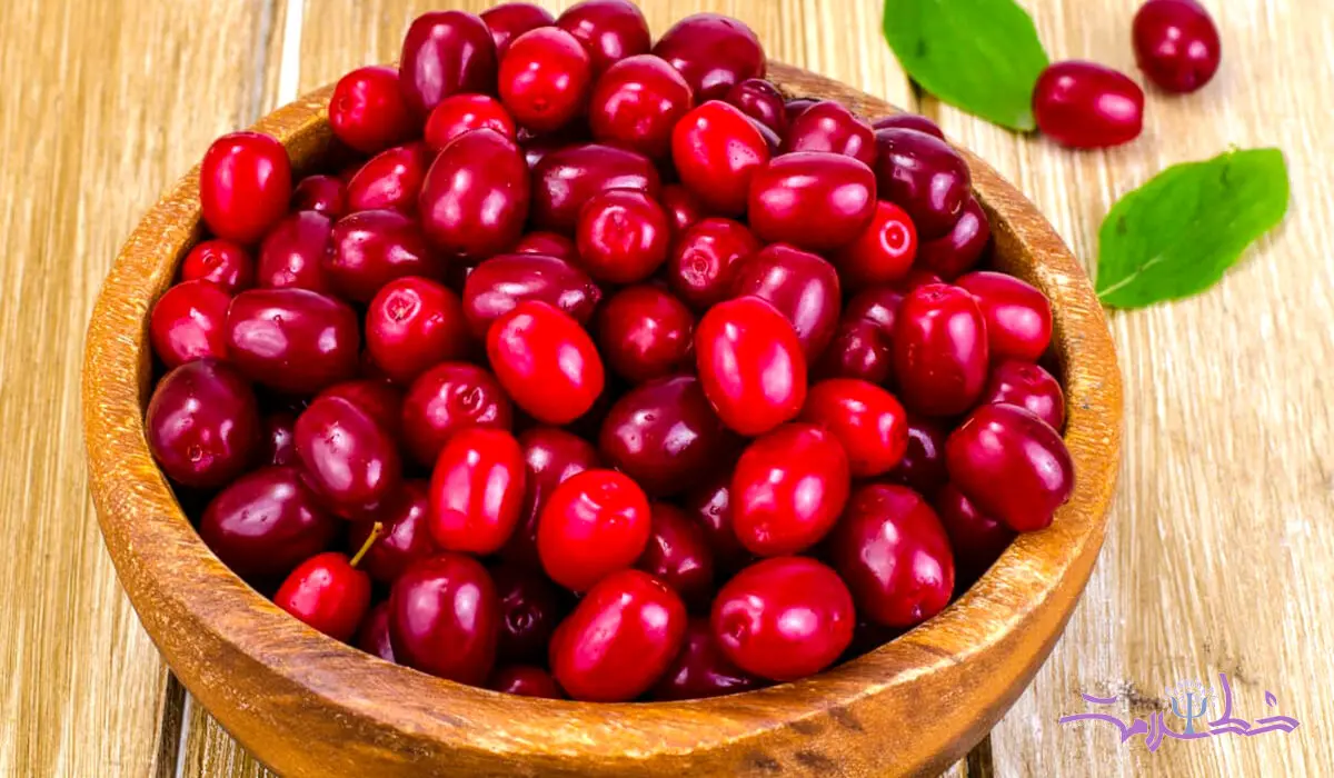 این میوه خوش رنگ با حافظه را تقویت می کند