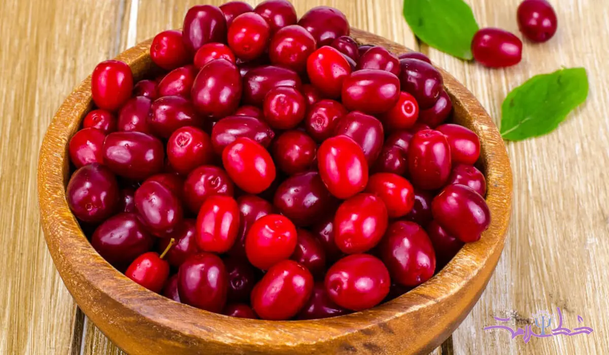 این میوه خوش رنگ با حافظه را تقویت می کند