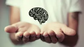 ۱۲ شاخه اصلی روانشناسی و تأثیر هر کدام بر زندگی شما چیست؟