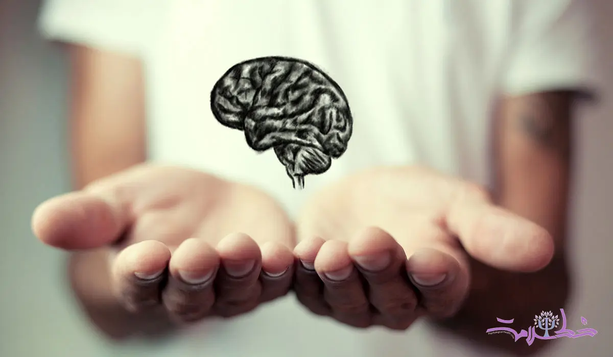 ۱۲ شاخه اصلی روانشناسی و تأثیر هر کدام بر زندگی شما چیست؟