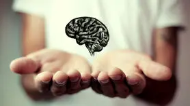 ۱۲ شاخه اصلی روانشناسی و تأثیر هر کدام بر زندگی شما چیست؟