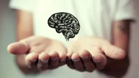 ۱۲ شاخه اصلی روانشناسی و تأثیر هر کدام بر زندگی شما چیست؟