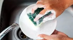 باکتری‌ها در آشپزخانه شما جا خوش کرده‌اند؛ این وسیله را جدی بگیرید
