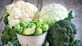 کلم بروکسل چیست و چه تفاوتی با کلم بروکلی دارد؟ + جدول مقایسه فواید این دو نوع کلم