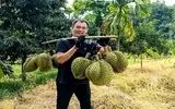 پادشاه میوه‌ها و راز تأثیرش بر مغز و خلق‌وخو + ویدئو