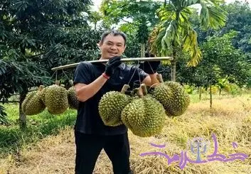 پادشاه میوه‌ها و راز تأثیرش بر مغز و خلق‌وخو + ویدئو