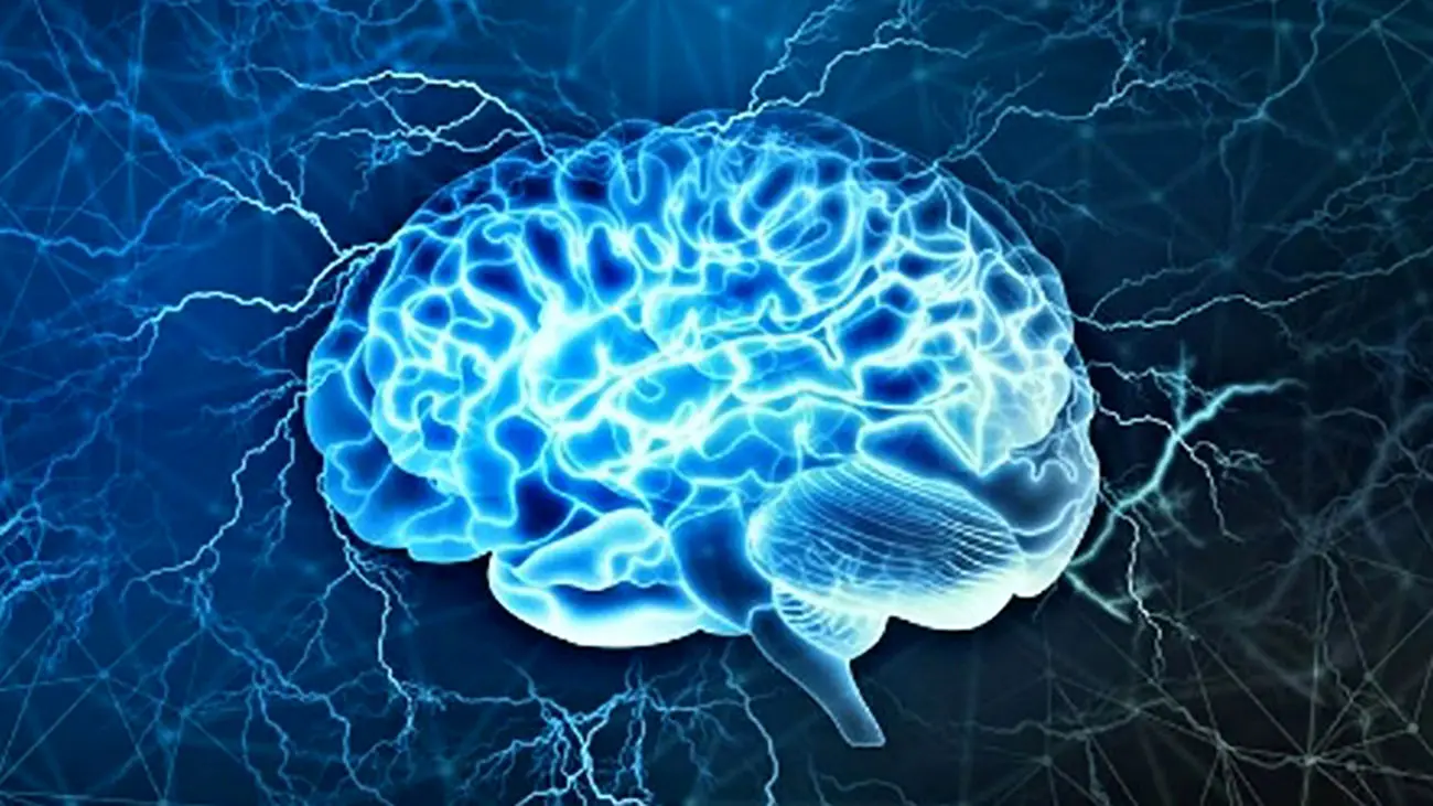 تمرینات تعلیم مغز فعال در کاهش علائم آلزایمر 