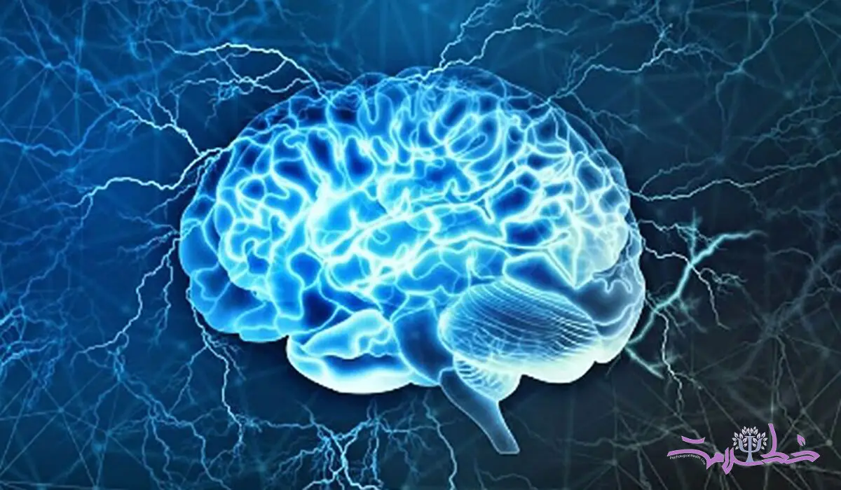 تمرینات تعلیم مغز فعال در کاهش علائم آلزایمر 
