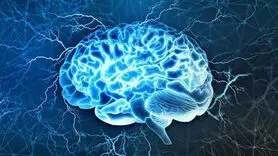 تمرینات تعلیم مغز فعال در کاهش علائم آلزایمر 