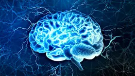 تمرینات تعلیم مغز فعال در کاهش علائم آلزایمر 